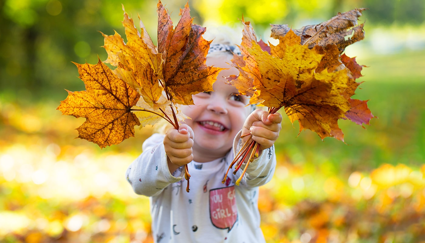 Smiling girl holds up autumn leaves in November